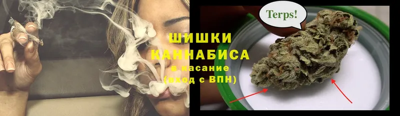 где купить наркоту  Тосно  Шишки марихуана SATIVA & INDICA 